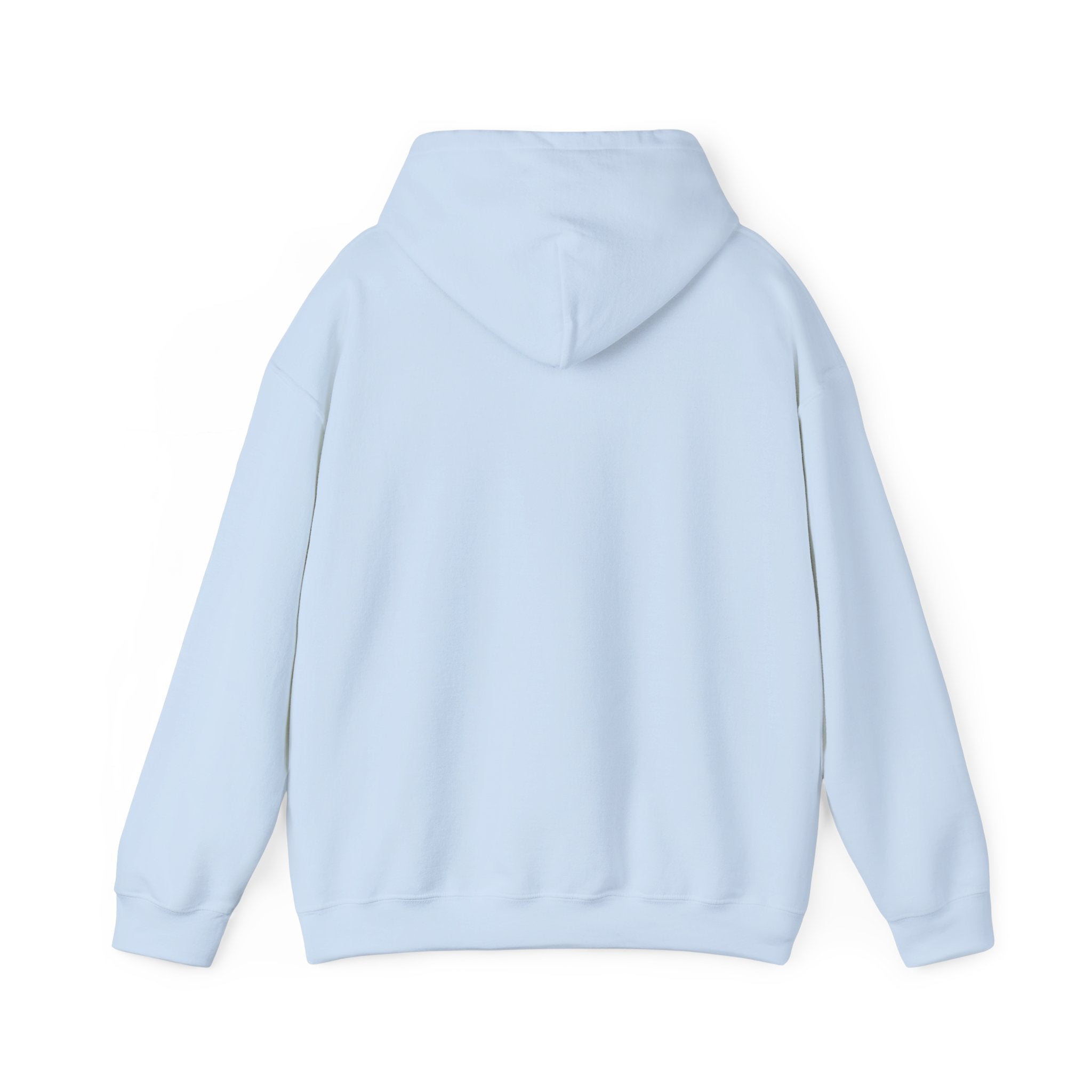 Arkansas Landscape Nature Hoodie — Scenic Rivers State Parks Sweatshirt