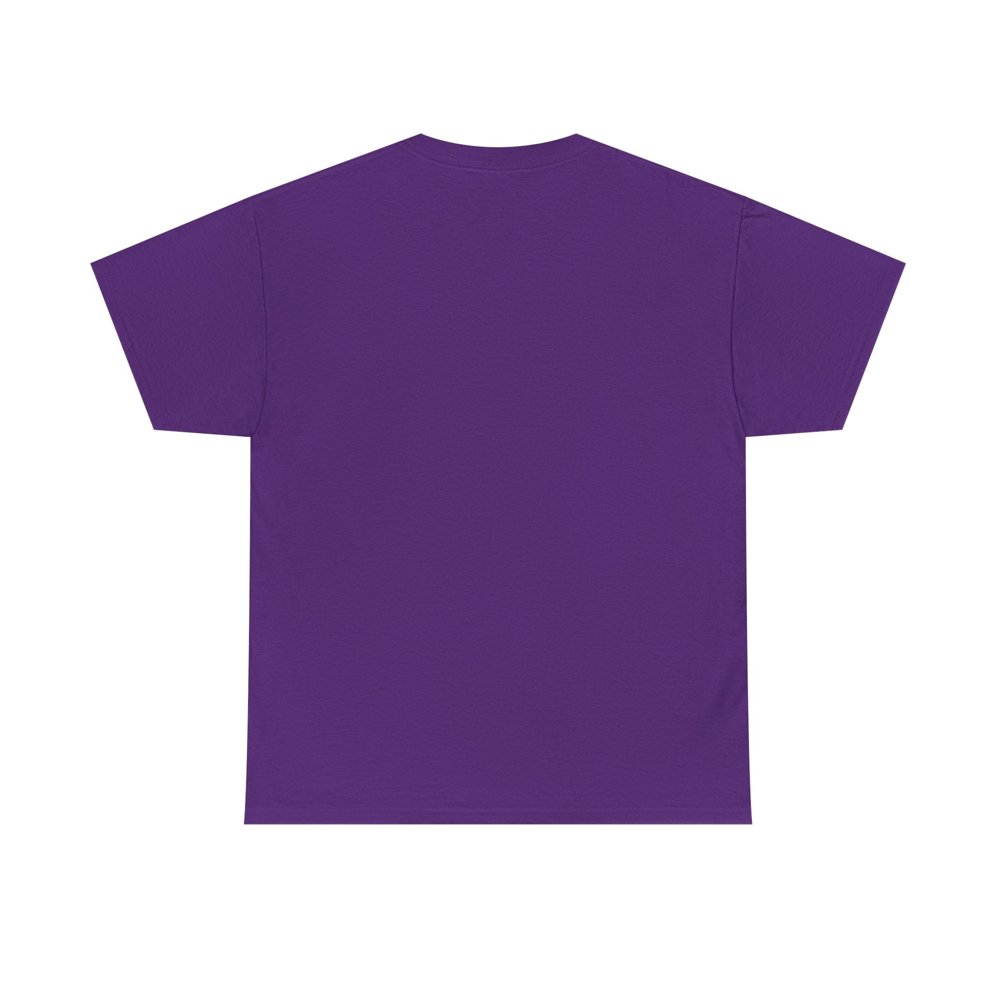 Crazy Sunshine Tee – "I Don’t Go Crazy, I Go Normal From Time to Time" Graphic T-Shirt