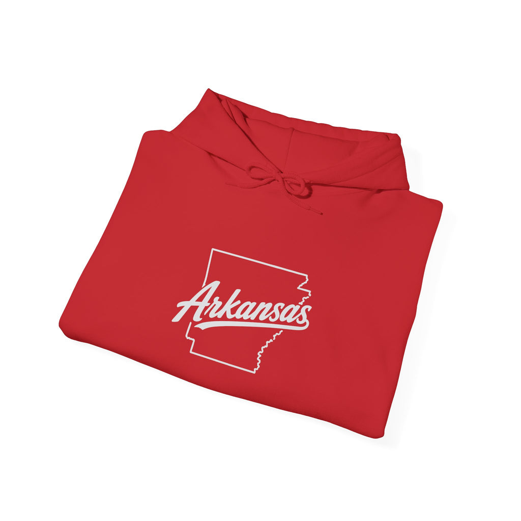Arkansas Statehood Hoodie — Tigers Sideline Photo Back Print