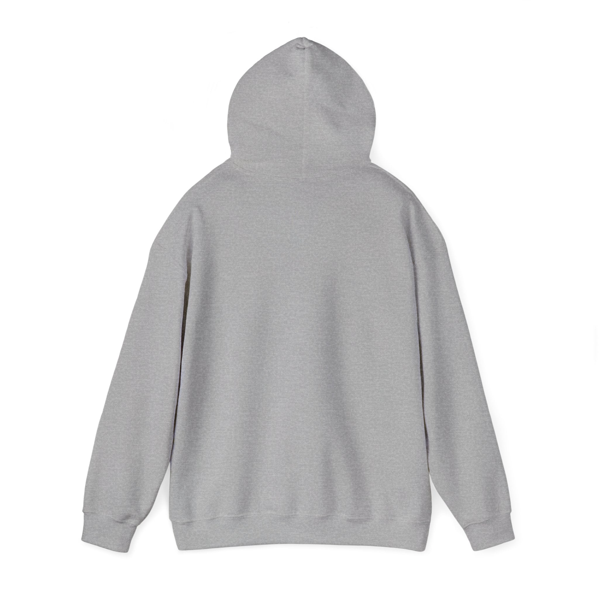 Hoodie — "It's Okay If You Don't Like Me" Retro Cool Woman Graphic Hoodie