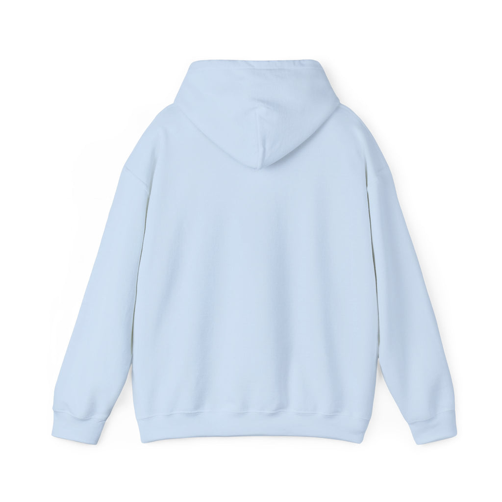 Hoodie — "It's Okay If You Don't Like Me" Retro Cool Woman Graphic Hoodie