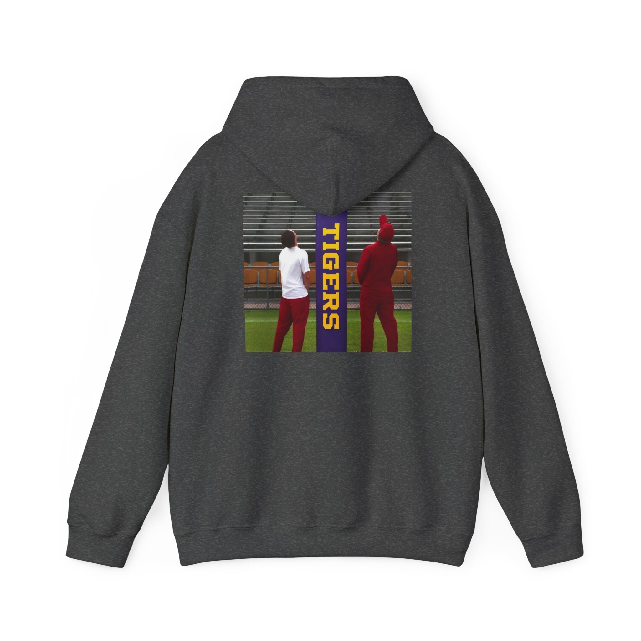 Arkansas Statehood Hoodie — Tigers Sideline Photo Back Print