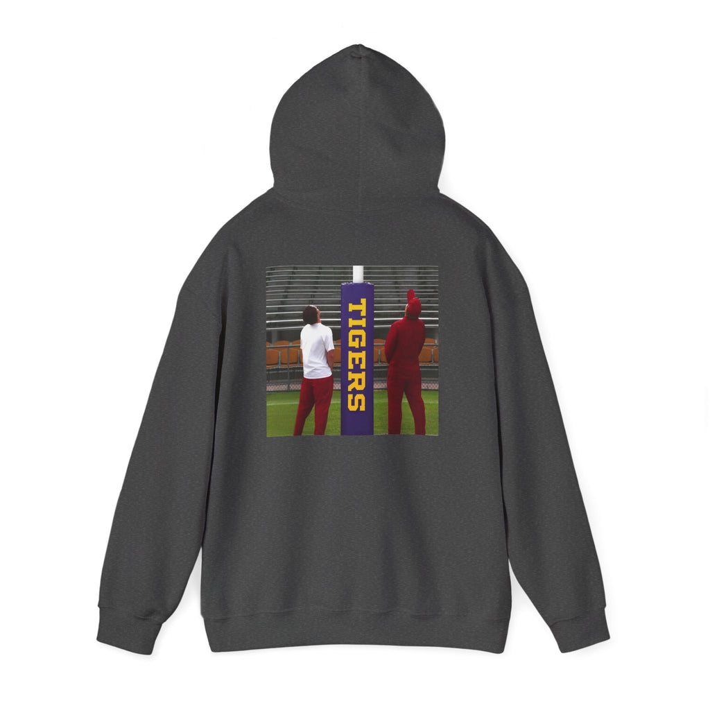 Arkansas Statehood Hoodie — Tigers Sideline Photo Back Print