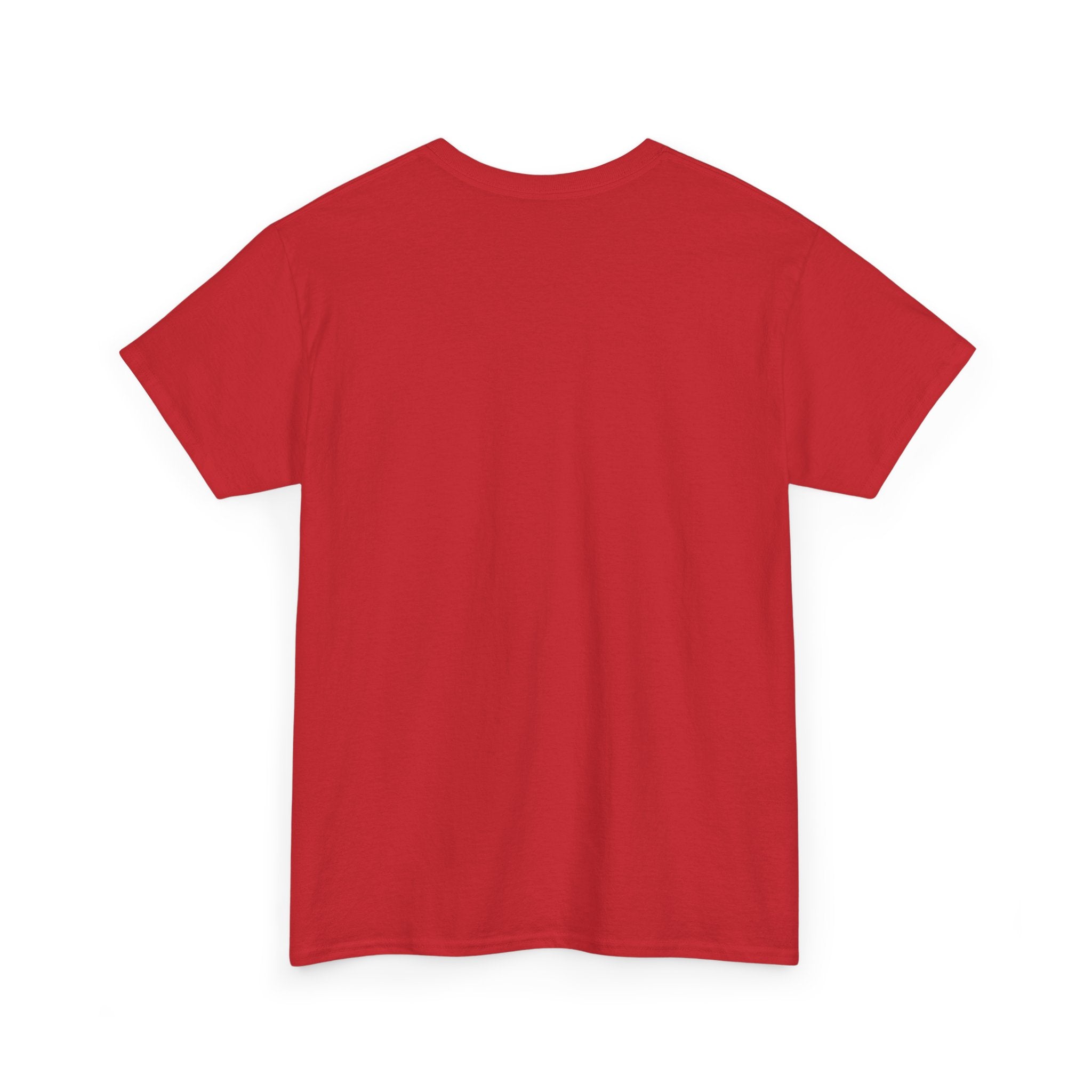 Crazy Sunshine Tee – "I Don’t Go Crazy, I Go Normal From Time to Time" Graphic T-Shirt