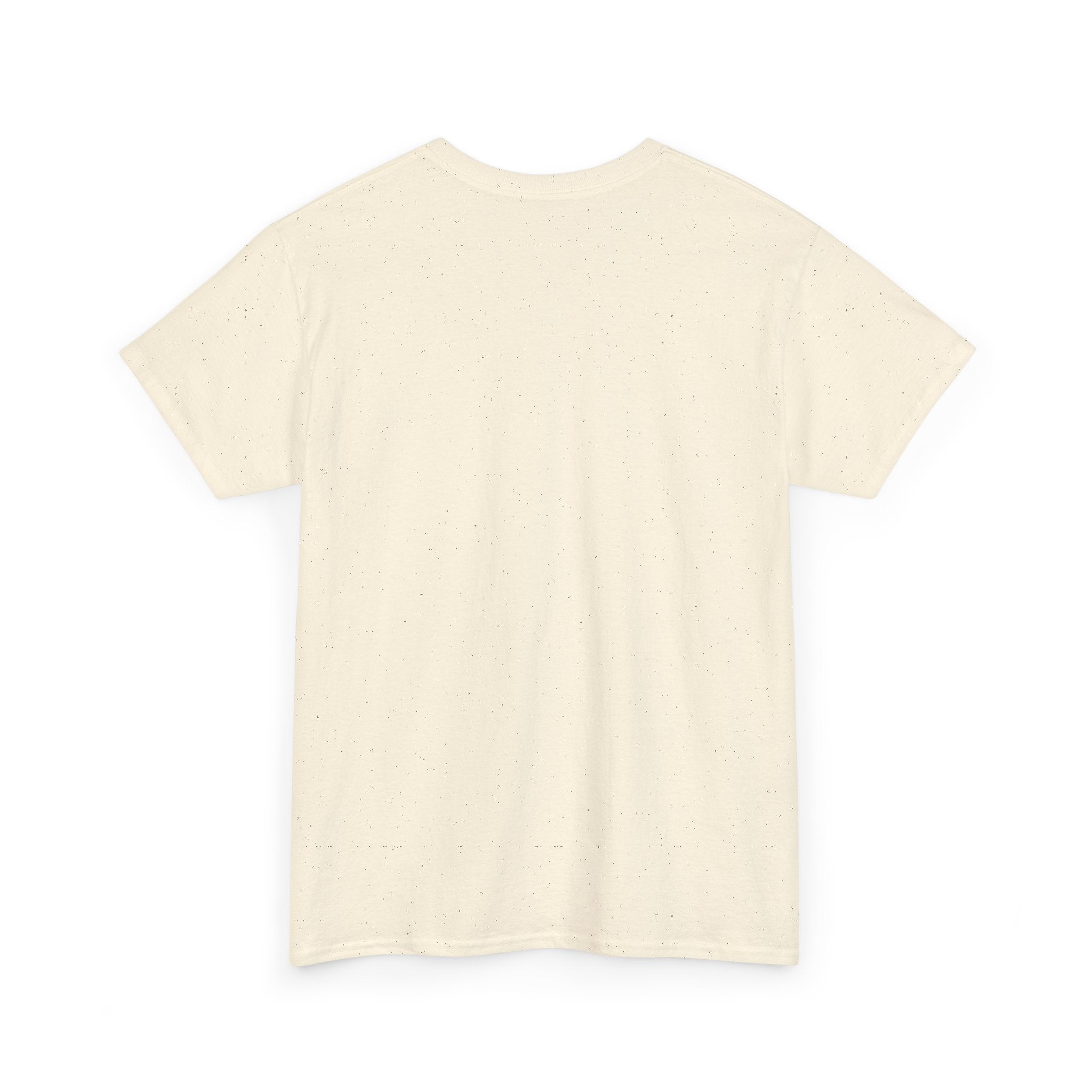 Crazy Sunshine Tee – "I Don’t Go Crazy, I Go Normal From Time to Time" Graphic T-Shirt