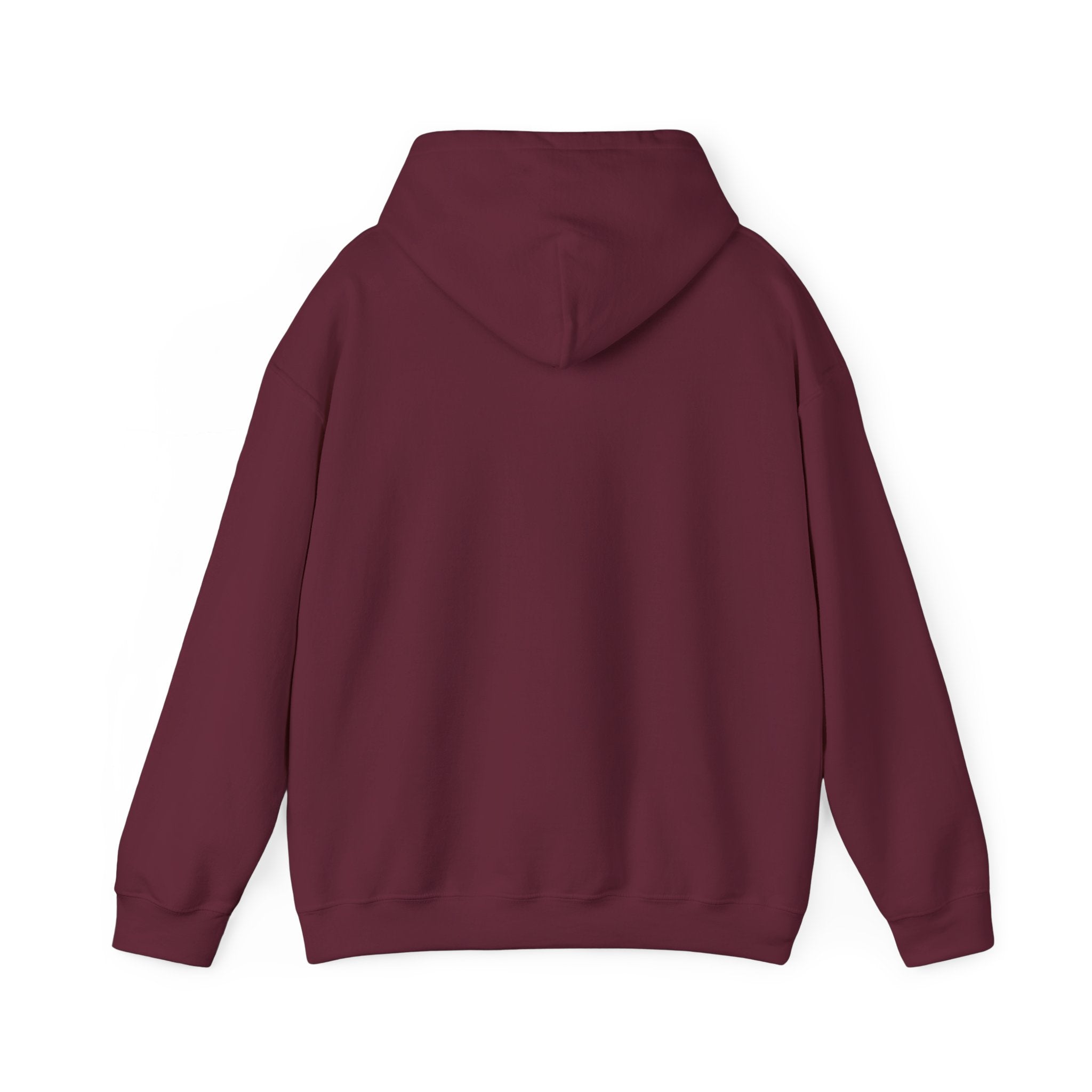 Arkansas Script State Outline Hoodie - Retro State Pride Pullover