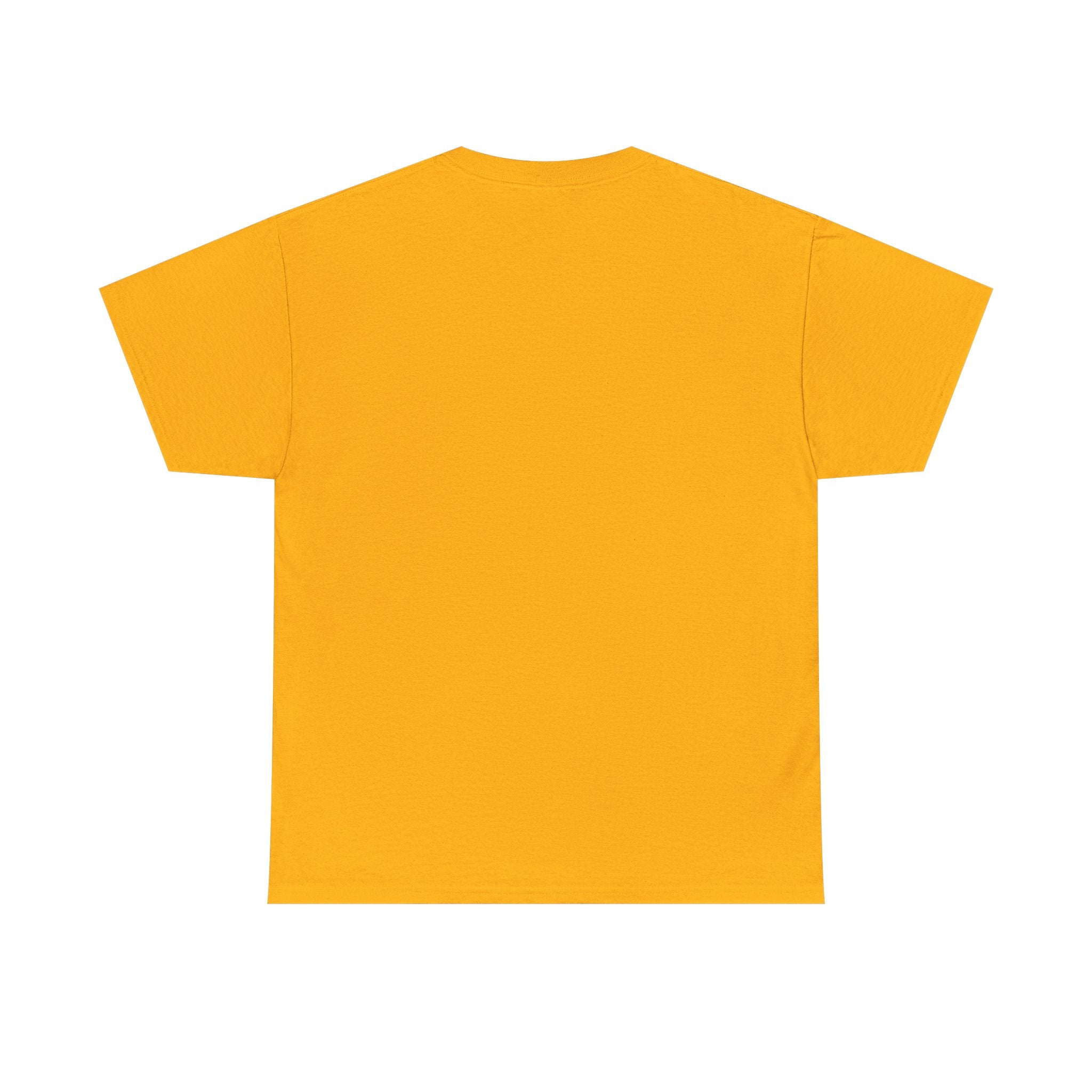 Crazy Sunshine Tee – "I Don’t Go Crazy, I Go Normal From Time to Time" Graphic T-Shirt