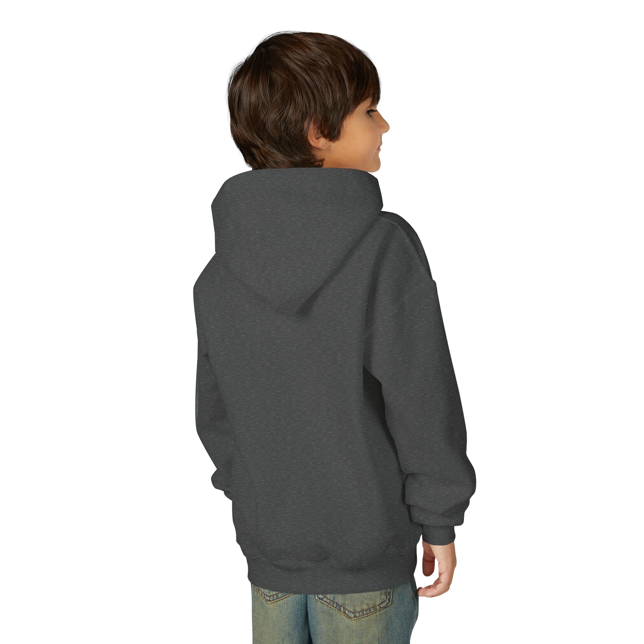 Arkansas Landscape Nature Youth Hoodie — Scenic Rivers State Parks Sweatshirt