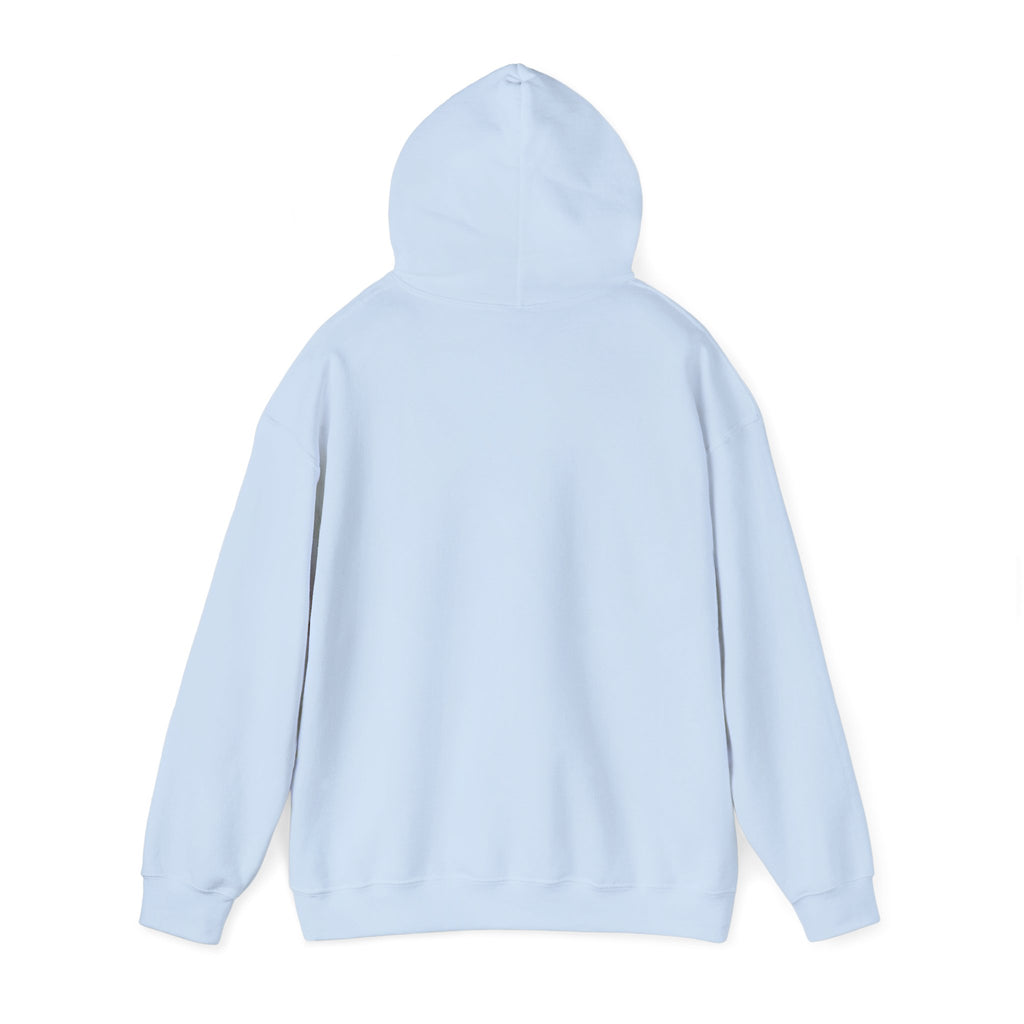 Hoodie — "It's Okay If You Don't Like Me" Retro Cool Woman Graphic Hoodie