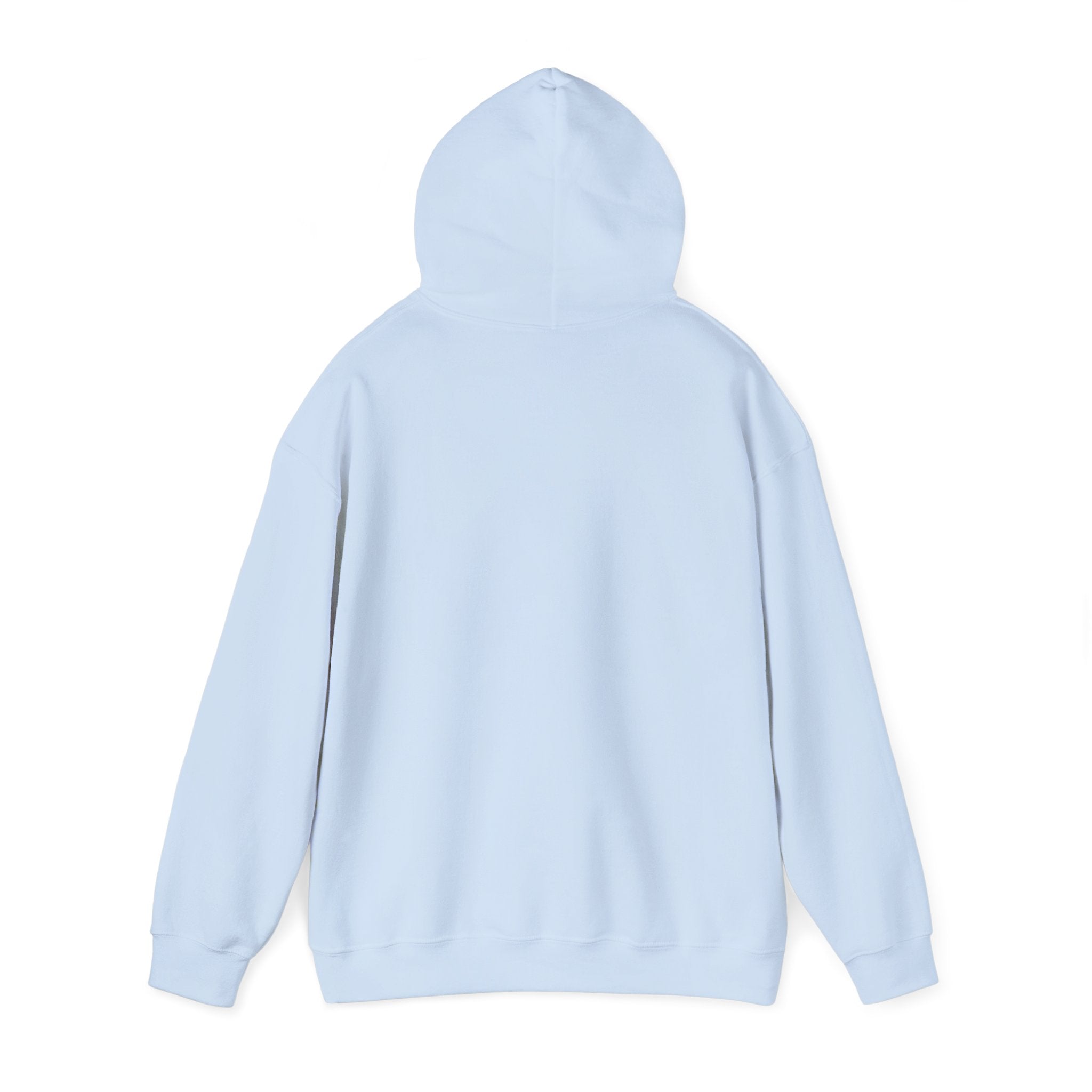Hoodie — "It's Okay If You Don't Like Me" Retro Cool Woman Graphic Hoodie