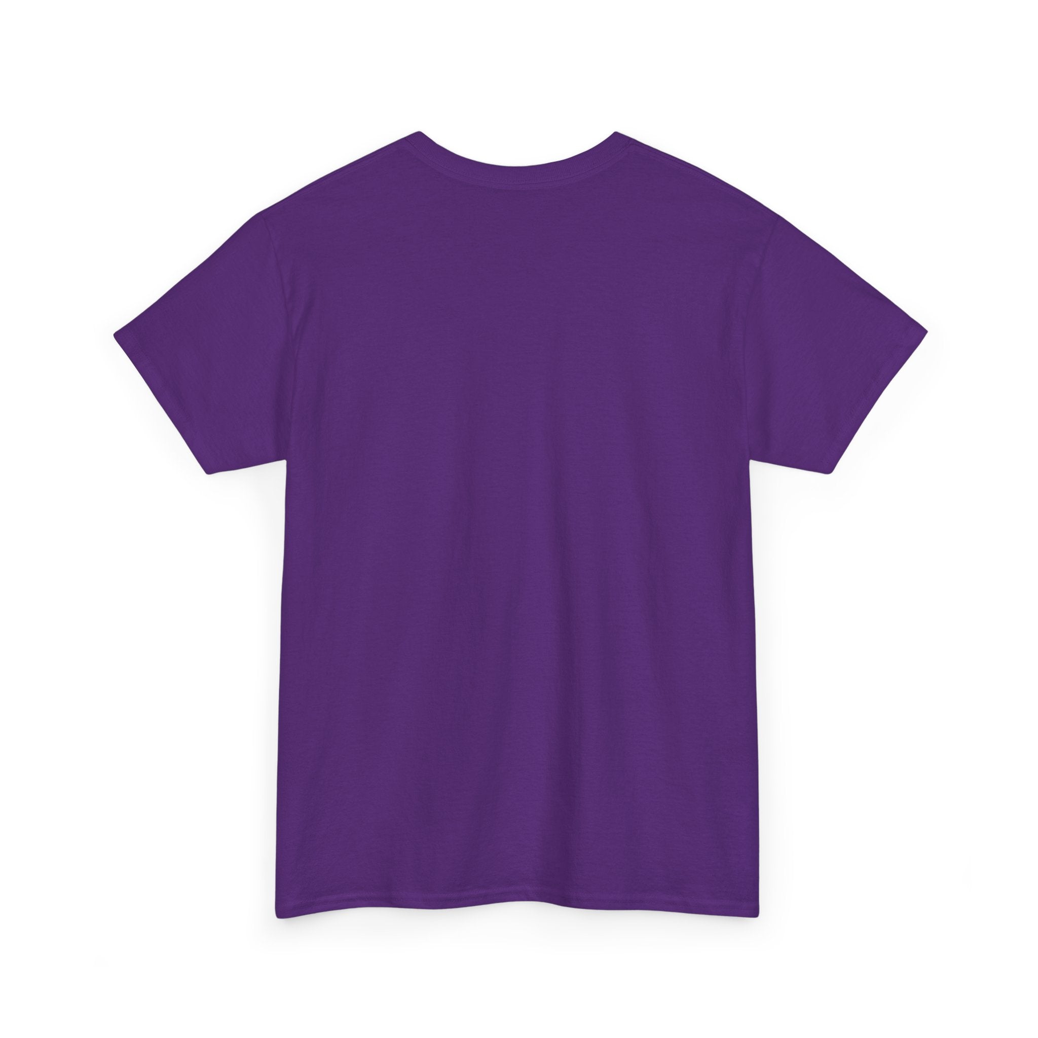 Crazy Sunshine Tee – "I Don’t Go Crazy, I Go Normal From Time to Time" Graphic T-Shirt