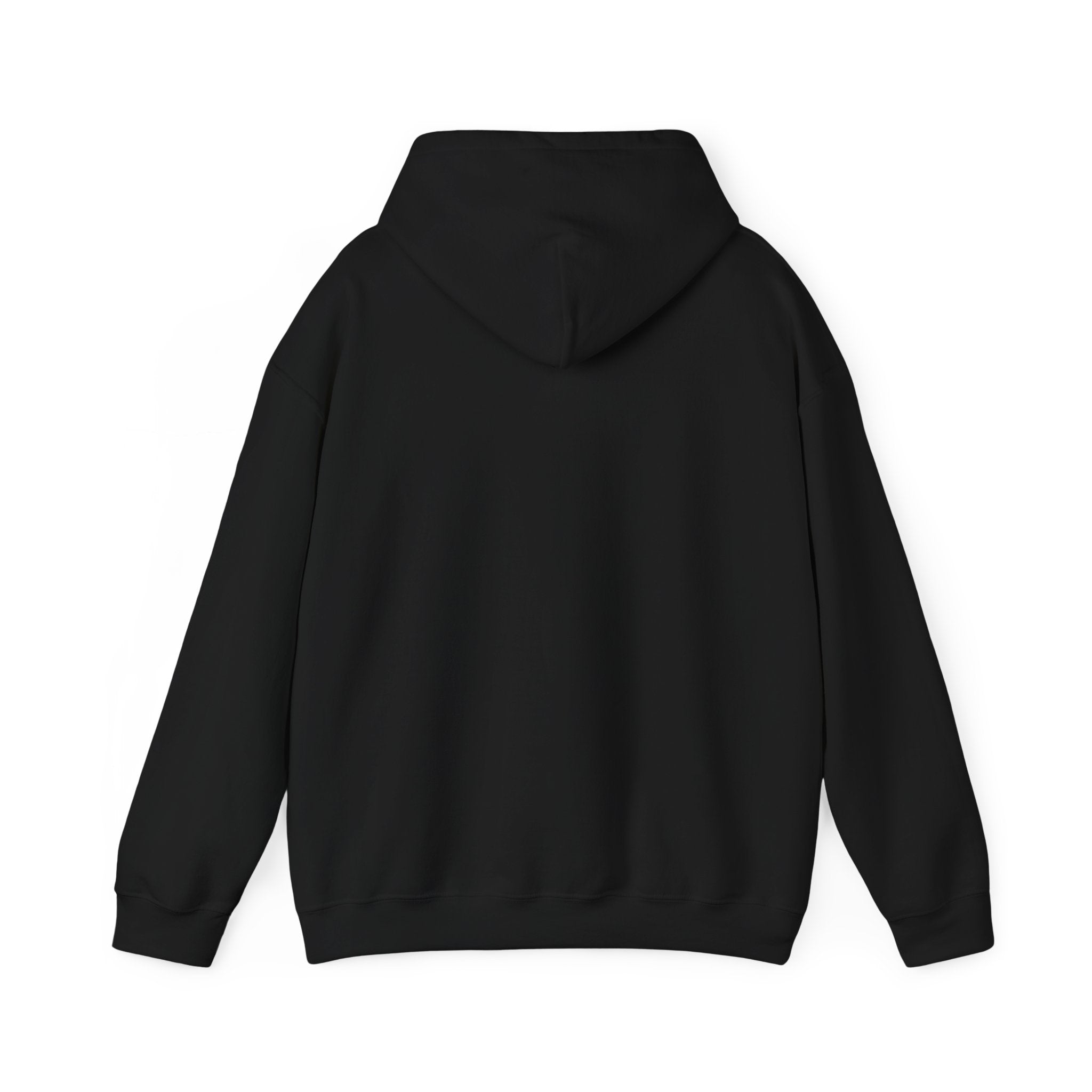 Arkansas Landscape Nature Hoodie — Scenic Rivers State Parks Sweatshirt