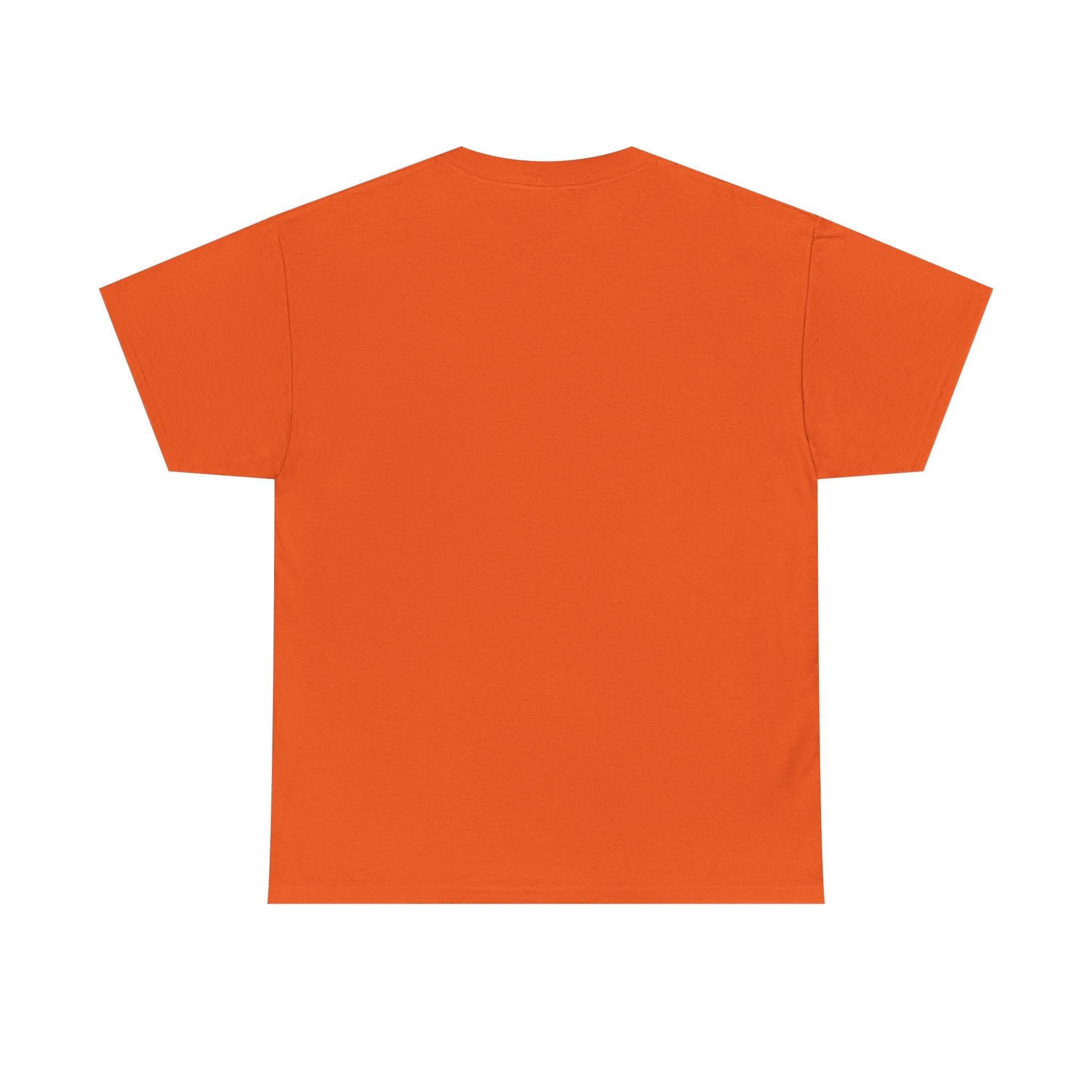 Crazy Sunshine Tee – "I Don’t Go Crazy, I Go Normal From Time to Time" Graphic T-Shirt