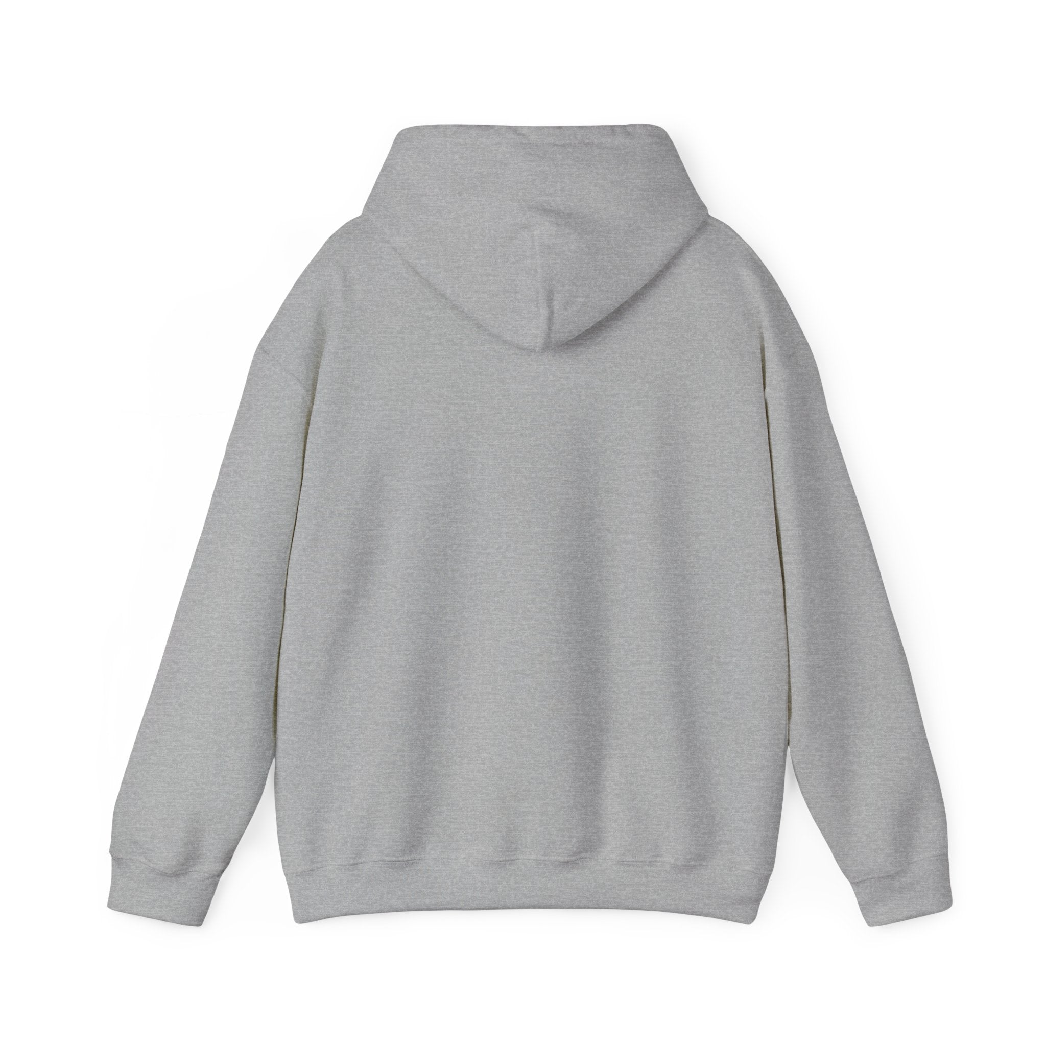 Arkansas Landscape Nature Hoodie — Scenic Rivers State Parks Sweatshirt