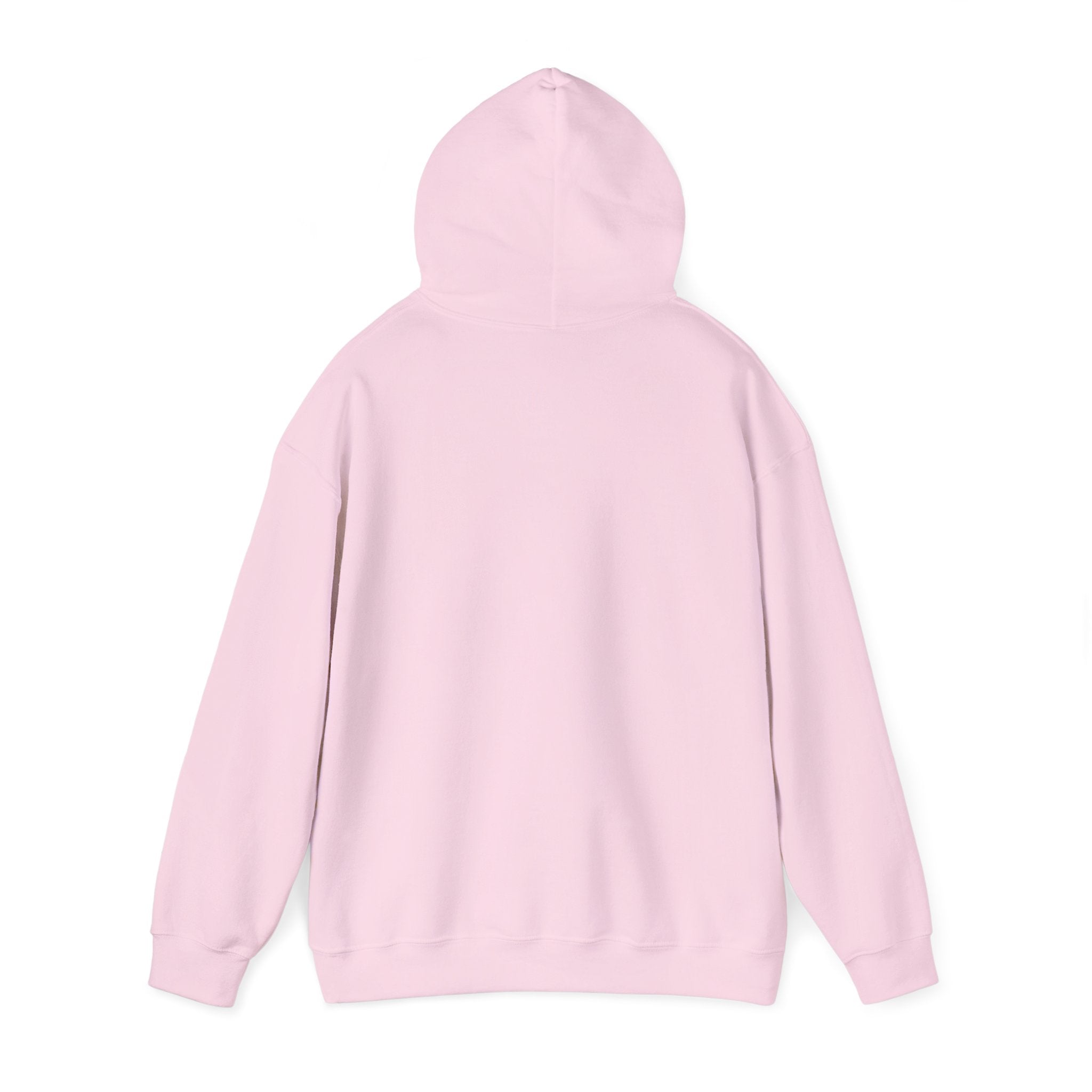 Hoodie — "It's Okay If You Don't Like Me" Retro Cool Woman Graphic Hoodie