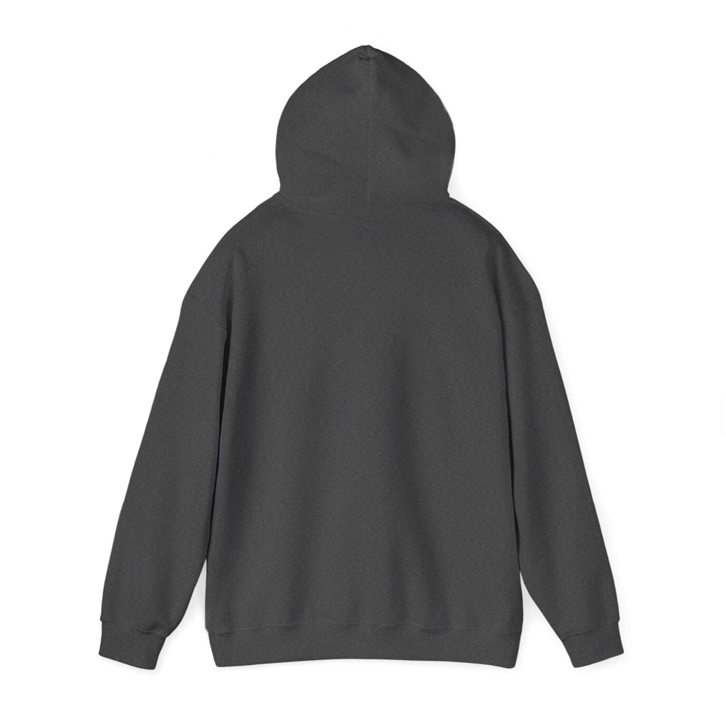 Arkansas Landscape Nature Hoodie — Scenic Rivers State Parks Sweatshirt