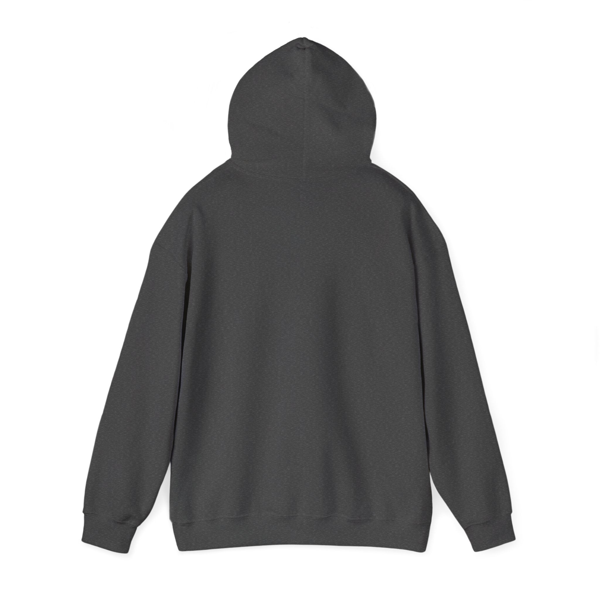 Arkansas Landscape Nature Hoodie — Scenic Rivers State Parks Sweatshirt