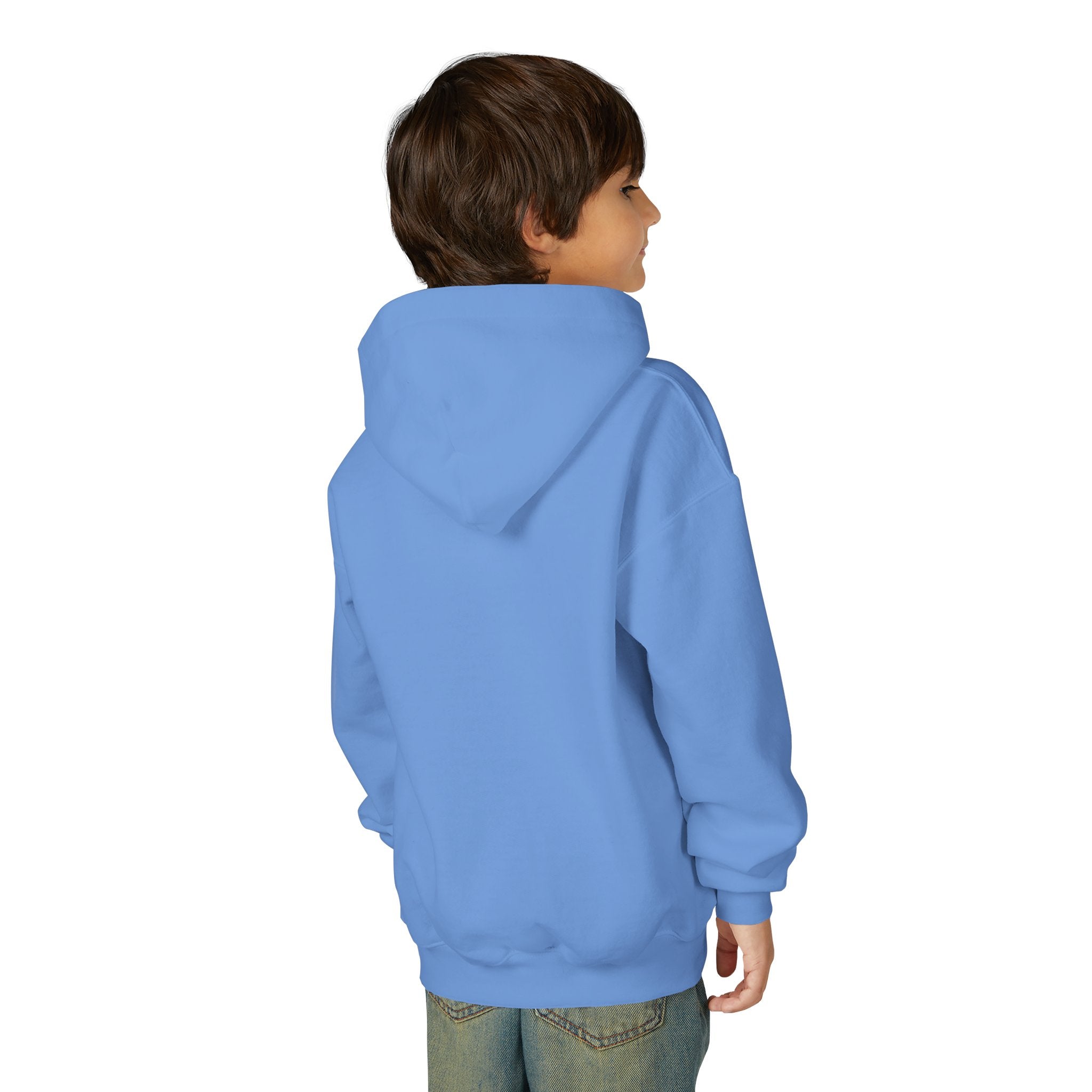 Arkansas Landscape Nature Youth Hoodie — Scenic Rivers State Parks Sweatshirt
