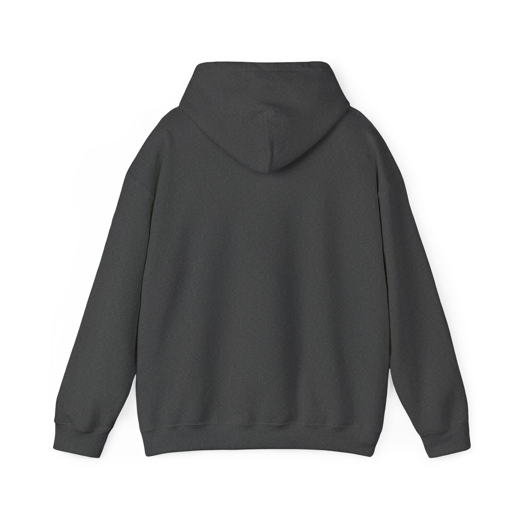 Arkansas Script State Outline Hoodie - Retro State Pride Pullover