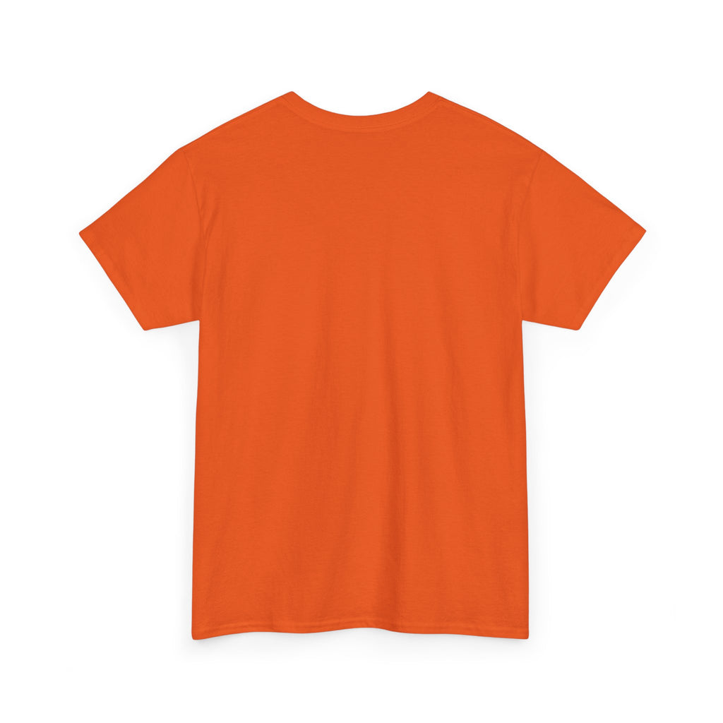 Crazy Sunshine Tee – "I Don’t Go Crazy, I Go Normal From Time to Time" Graphic T-Shirt