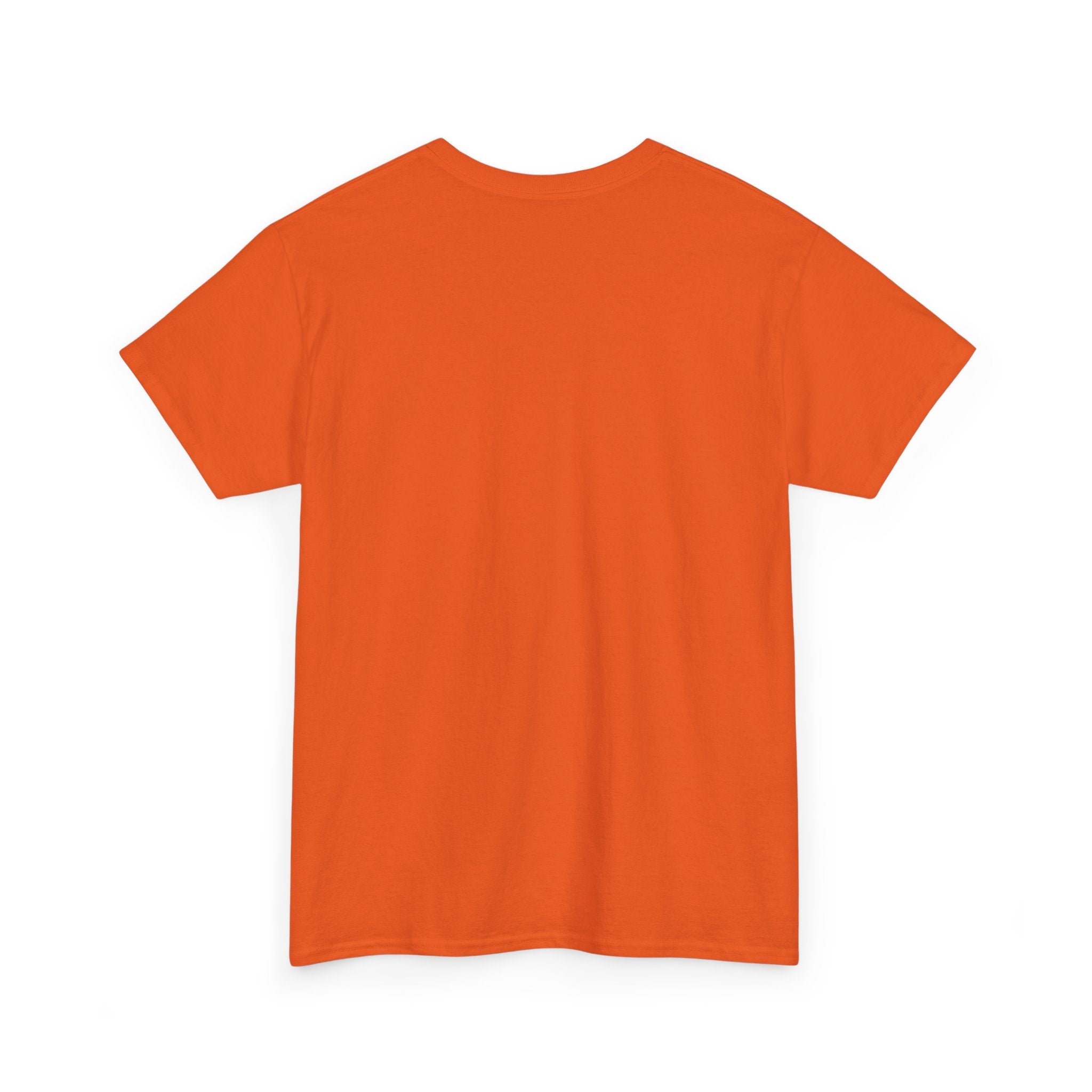 Crazy Sunshine Tee – "I Don’t Go Crazy, I Go Normal From Time to Time" Graphic T-Shirt