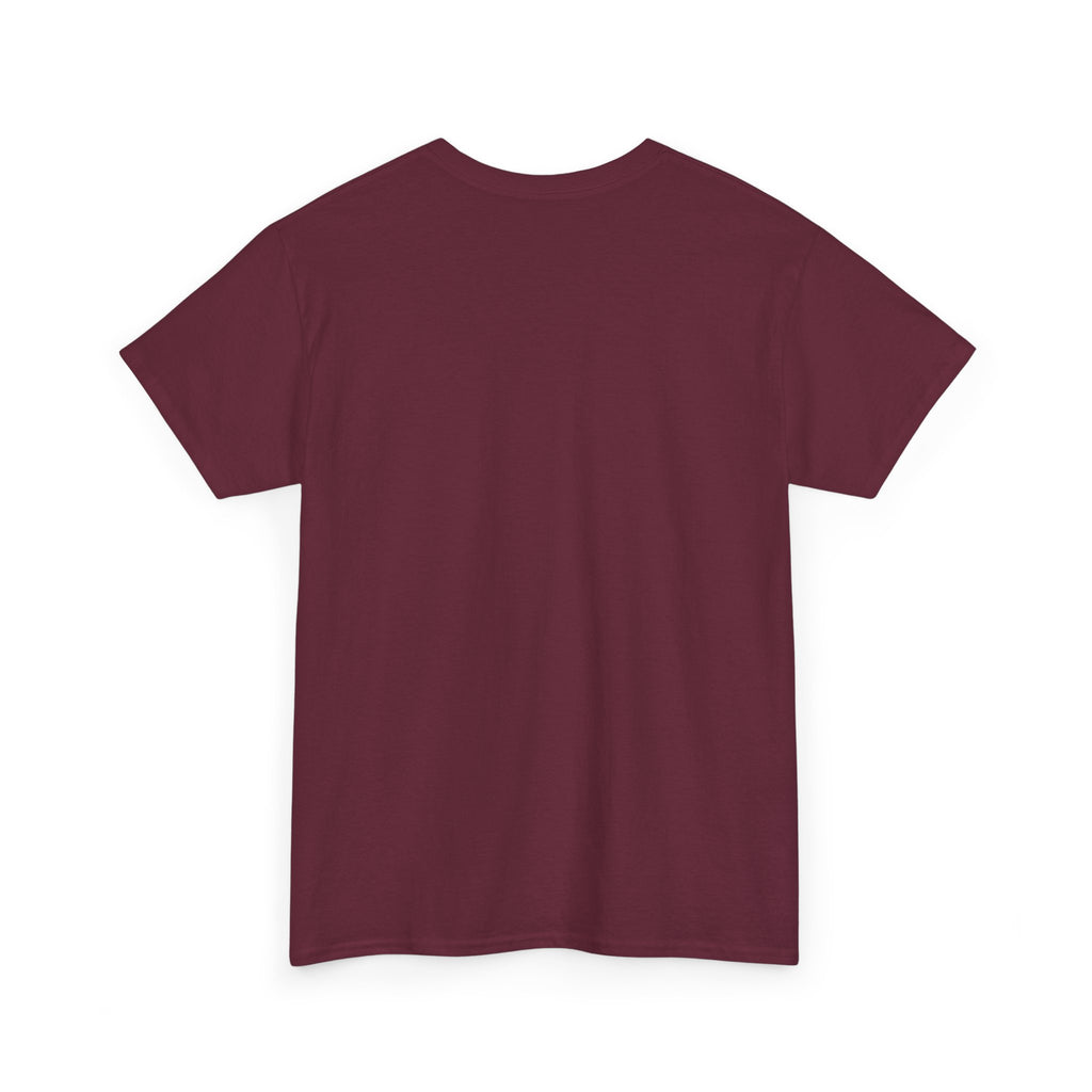 Crazy Sunshine Tee – "I Don’t Go Crazy, I Go Normal From Time to Time" Graphic T-Shirt