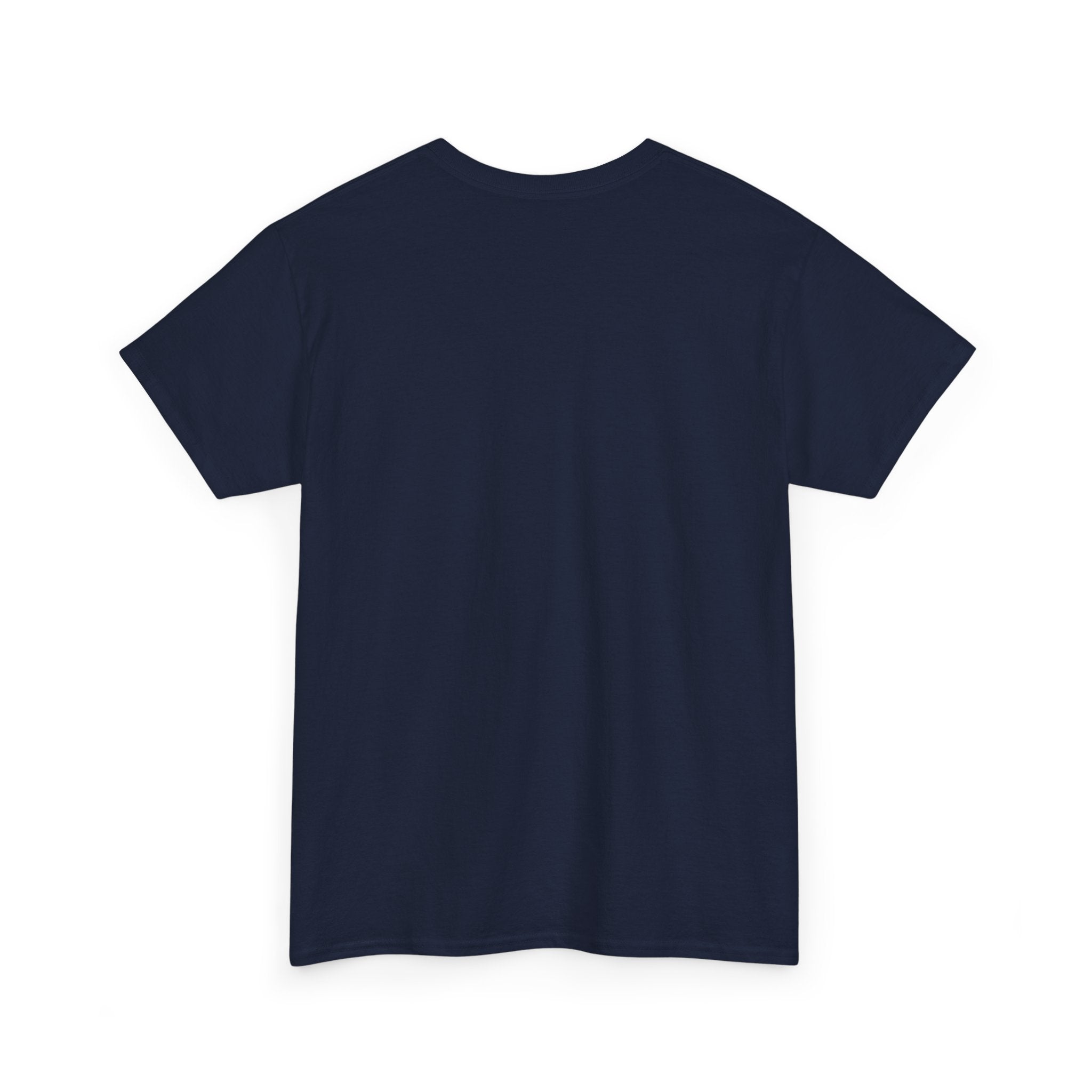 Crazy Sunshine Tee – "I Don’t Go Crazy, I Go Normal From Time to Time" Graphic T-Shirt