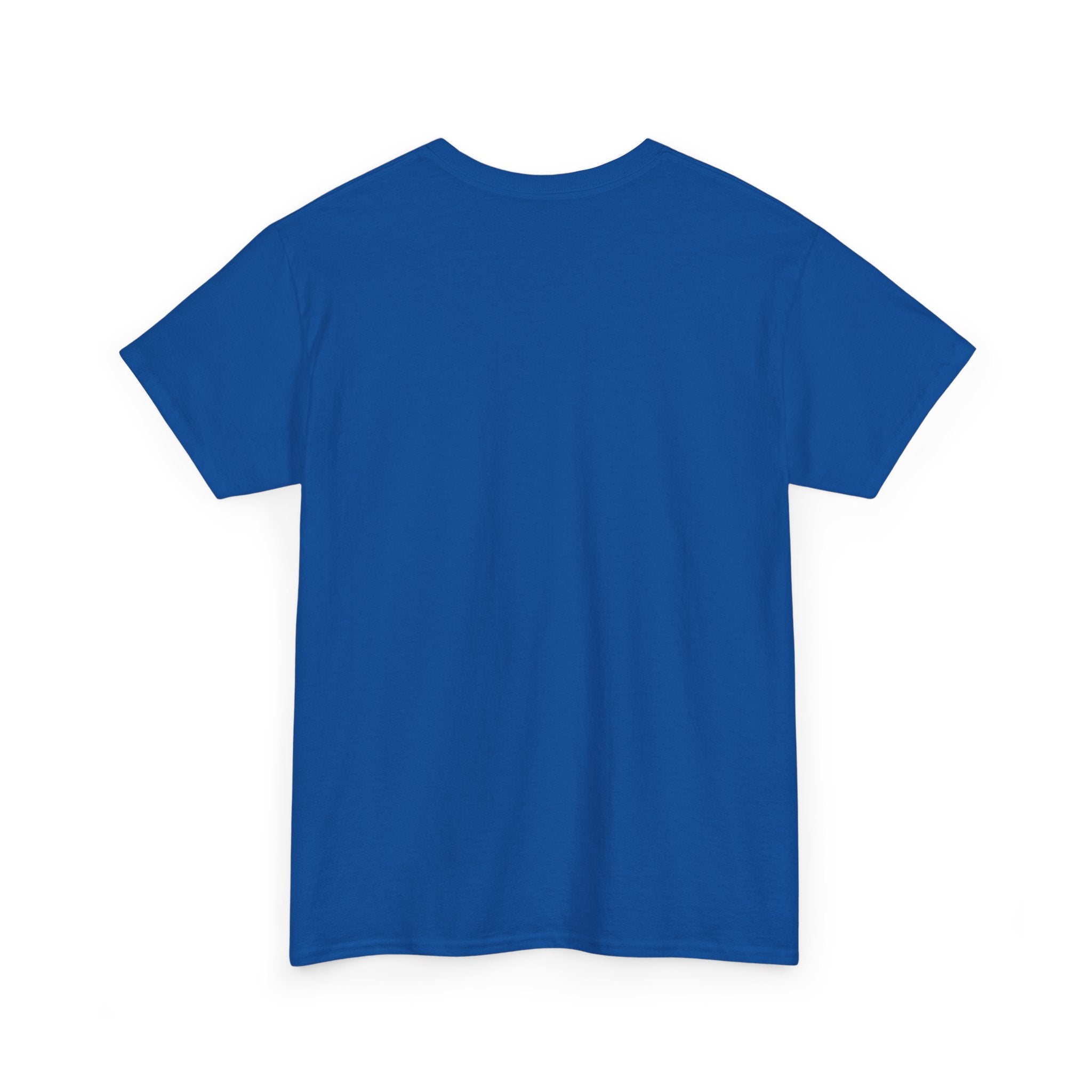 Crazy Sunshine Tee – "I Don’t Go Crazy, I Go Normal From Time to Time" Graphic T-Shirt